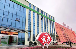 安井只是賣丸子的？不，它已成速凍品類“三劍客