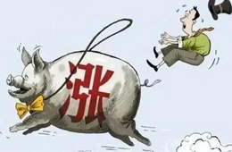 豬肉供應(yīng)量斷崖式下跌，肉價將開啟全面大漲
