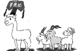 比去年同期上漲35%，價(jià)格井噴的“羊貴妃”路在何方？