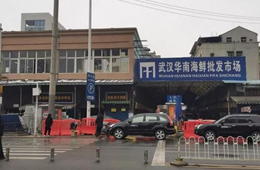 武漢華南海鮮市場(chǎng)元旦起休市，恢復(fù)營(yíng)業(yè)時(shí)間未定