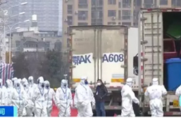 武漢華南海鮮市場完成大規(guī)模消殺；牛蛙、烏龜不列入禁食范圍