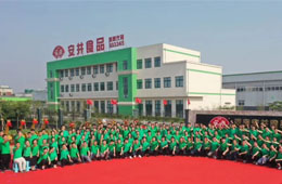 華南基地簽約，河南工廠揭牌，安井 “銷地產(chǎn)”布局又有新動作