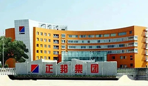 “江西豬王”易主，雙胞胎正式入主正邦