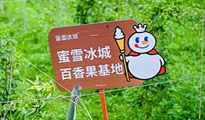 今日上市！覆蓋全球六大洲38個(gè)國家，“雪王”的采購網(wǎng)到底有多牛？