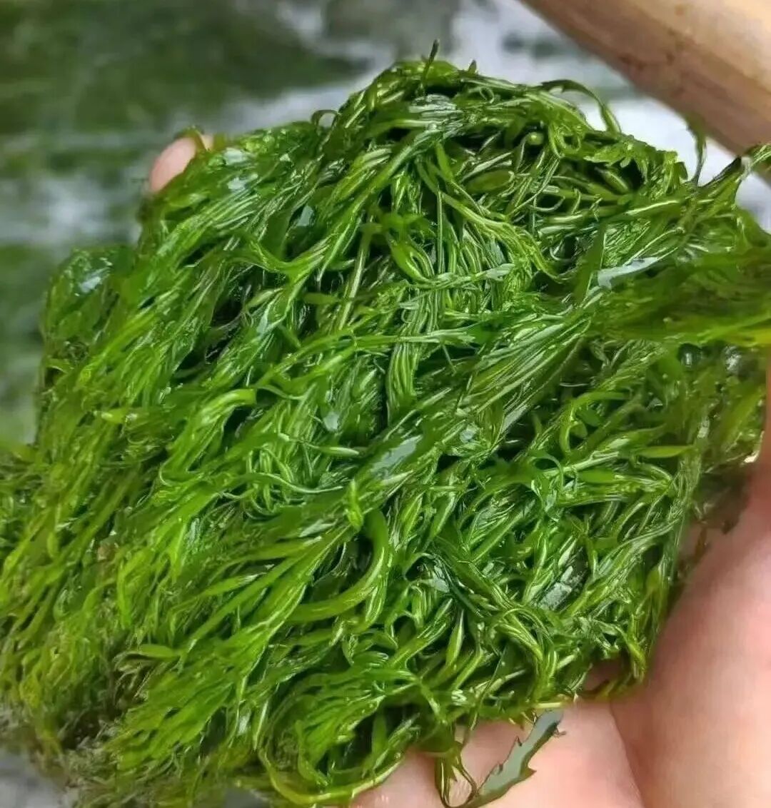 1759026605294369.jpg 1759026605294369.jpg