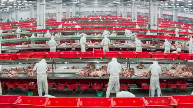 金鑼、郯潤、齊匯、瑞發(fā)德、喜姐炸串……山東臨沂“食力派”全鏈發(fā)力、高質(zhì)躍升